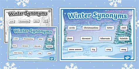 Winter Synonyms Word Mat Lehrer Gemacht Twinkl