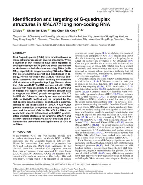 Pdf Identification And Targeting Of G Quadruplex Structures In Malat1