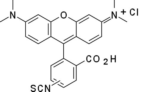 Tritc Tetramethylrhodamine And Isothiocyanate Cas