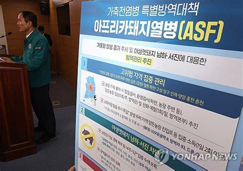 농식품부 겨울철 가축전염병 특별방역대책 발표 네이트 뉴스