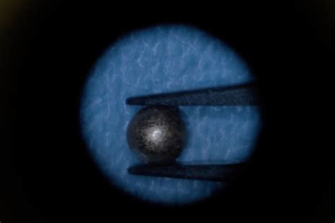 Magnetic sensors track muscle length | MIT News | Massachusetts ...