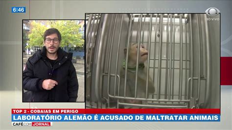 Laboratório alemão é acusado de maltratar animais YouTube