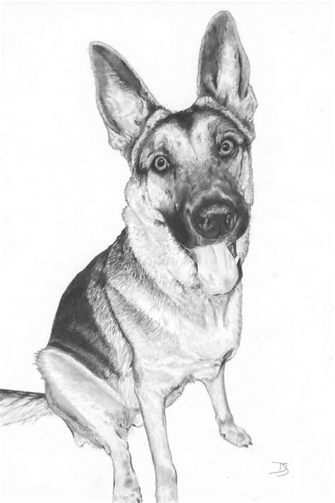 Pencil German Shepherd Portrait in 2023 | Pet portraits, Custom pet ...