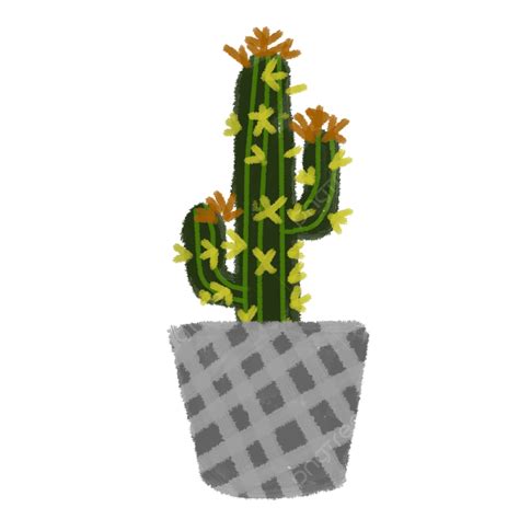 Maceta De Cactus Png Planta Cactus Plantas En Macetas Png Y Psd Para Descargar Gratis Pngtree