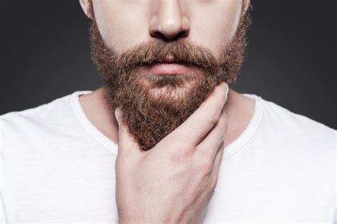 Beard Dye And Coloring Guide Should I Dye My Beard