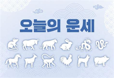 오늘의 운세 2023년 2월11일 띠별‧별자리 네이트 뉴스