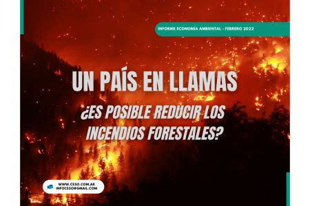 Un Pa S En Llamas Es Posible Reducir Los Incendios Forestales Economis