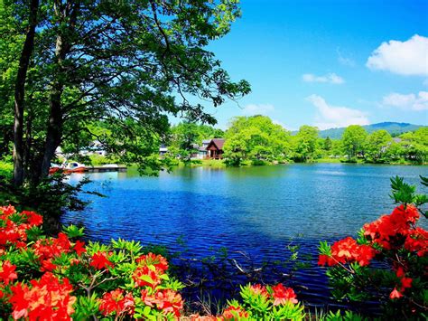 beautiful scenic wallpapers wallpapersafari