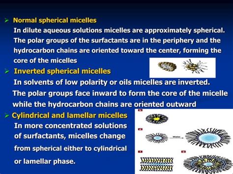 Surface And Interfacial Phenomena Ppt