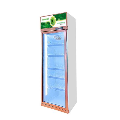 Fan Cooling Drink Refrigerator Showcase Supermarket Upright Glass Door