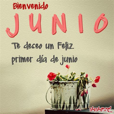 Bellas Imágenes Del Mes De Junio Para Descargar Gratis Y Compartir En