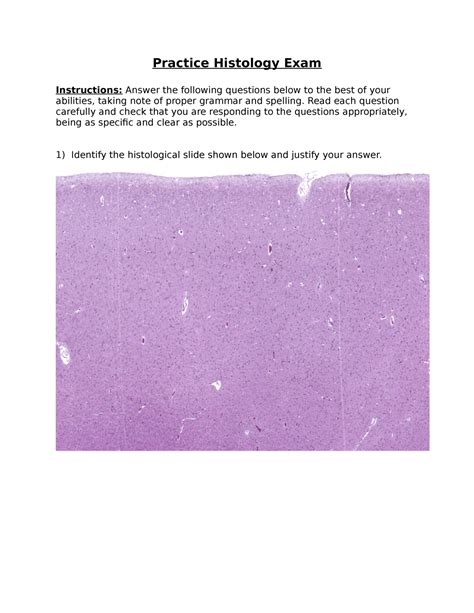 Practice Histology Exam Practice Histology Exam Instructions Answer