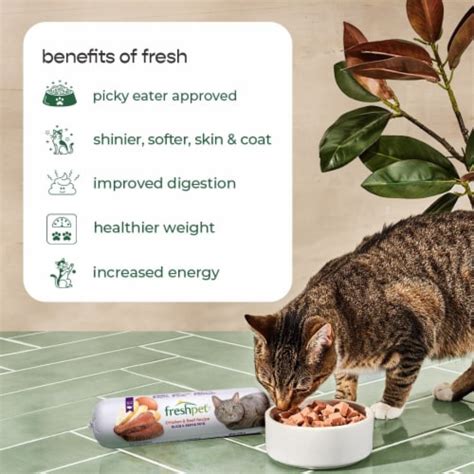 Freshpet Select Moisture Rich Tender Bites Tender Chicken Recipe Cat