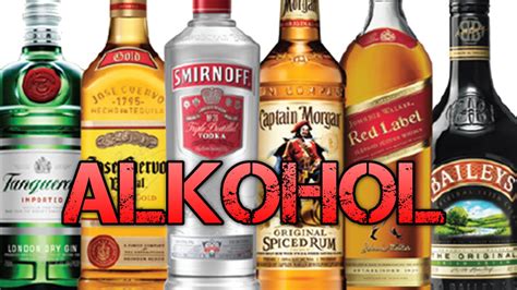 Alkohol & Fitness | Wie schädlich für den Muskelaufbau/Fettabbau? - YouTube