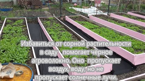 Избавляемся от сорняков - агроволокно. - YouTube