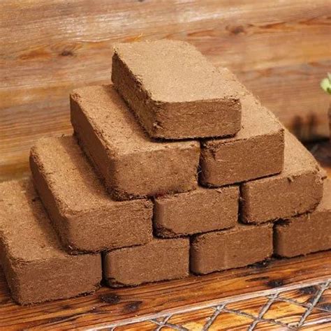 Rectangular G Coco Peat Bricks For Agriculture At Rs Piece In