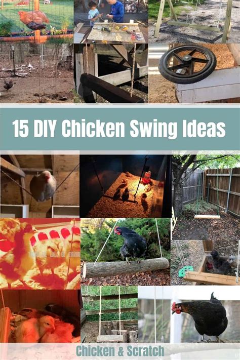 Chicken Fun: 15 DIY Chicken Swing Ideas