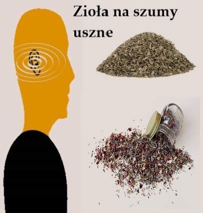 Zio A Na Szumy Uszne Jakie Wybra Znajdziesz W Tym Artykule