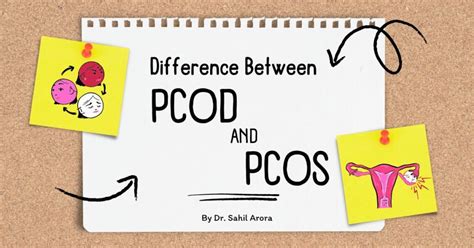 Difference Between PCOS And PCOD Full Detailed Guide