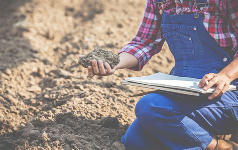 Minist Rio Da Agricultura Pode Ficar Sem Verba Extra Para Seguro Rural