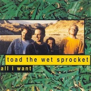 Toad the Wet Sprocket – All I Want Lyrics | Genius Lyrics