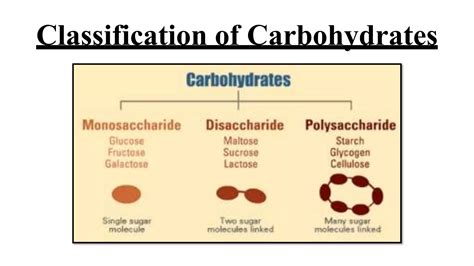 Qualitative Analysis Of Carbohydrates Ppt