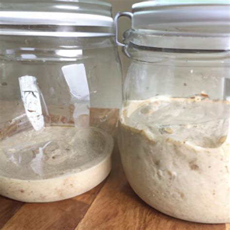 How To Make Sourdough Starter From Scratch A Step By Step Guide The