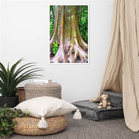 Rainbow Eucalyptus Tree Color Photograph Framed Print - Etsy