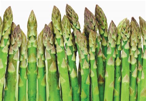 What's in Season in New Jersey in Spring - Asparagus | Edible Jersey