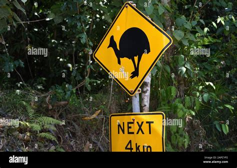 Road Signs Indicating The Rare Wild Southern Cassowary Territory In The Wilderness Of Queensland