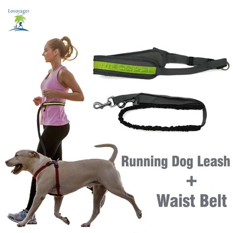 Hands Free Dog Leash Florescent Light Waist Belt For Running Walking