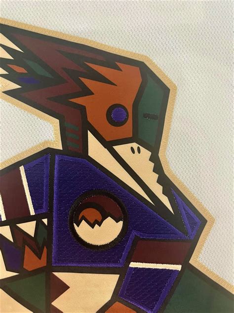 Josh Doan 2022-2023 Tucson Roadrunners Alternate Set Game Worn Jersey