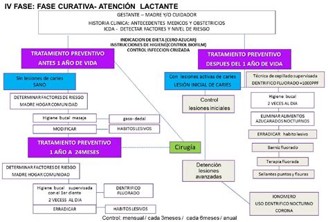 Vista De Protocolo De Atenci N Odontol Gica Integral Para Ni Os Hasta