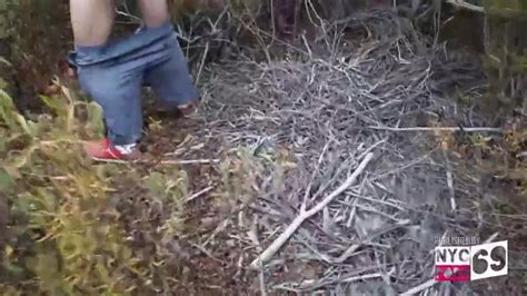 Homo Erectus 221 Gay Anal Porn XHamster