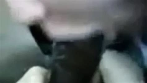 Free Bbw Oral Porn Videos Xhamster