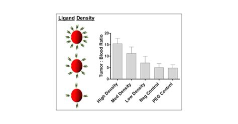 Targeted Print Hydrogels The Role Of Nanoparticle Size And Ligand