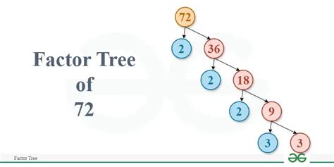 Factor Tree: Method, Examples