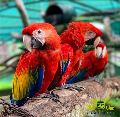 wild animal sanctuaries near me volunteer 13