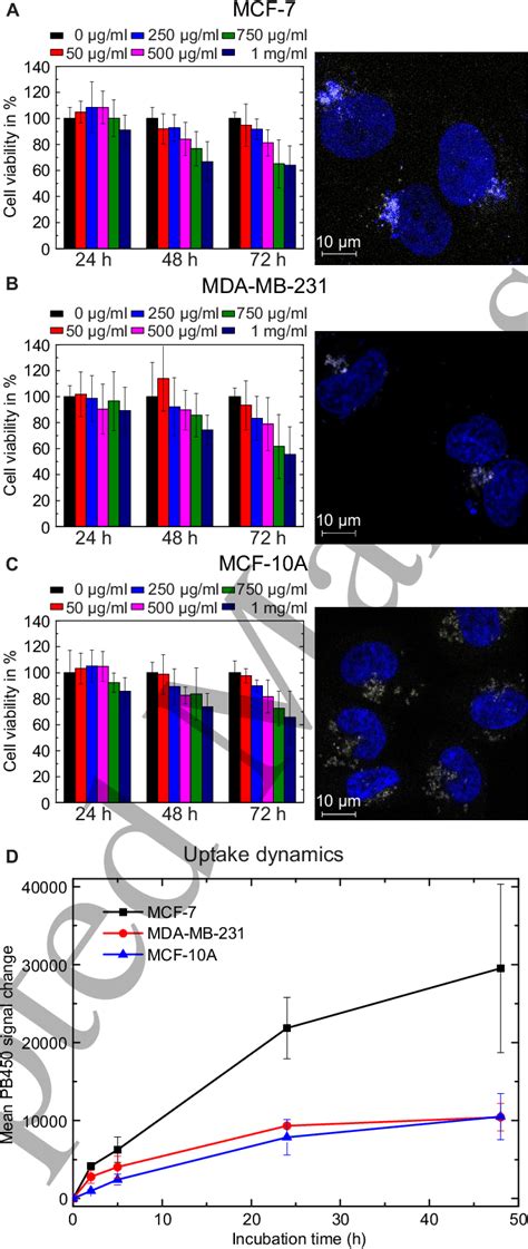 Mtt Assay At Gqd Concentrations Of Up To Mg Ml And Confocal