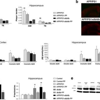 PP Treatment Preserves Synaptic Density In Db Db And APP PS1xdb Db