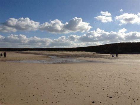 Dog walk at Happisburgh Beach · Norfolk · Walkiees