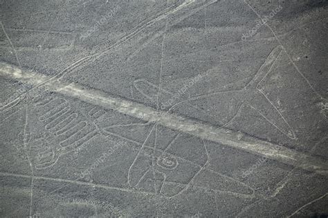 Vista Aérea De Las Líneas De Nazca Geoglifo De Ballena Perú