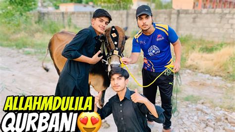 Allahmdulila Qurbani Ka Janwar Ly Liya🙏 ️ Kitny Ka Liya Youtube