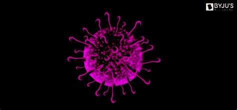 Understanding Viroids: Structure, Characteristic Features, and Diseases