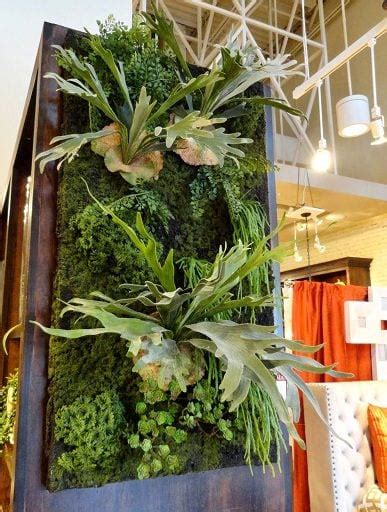 25 Indoor Plant Wall Ideas For Everlasting Greenery