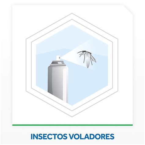 Insecticida Fuyi Aerosol Mata Moscas Y Mosquitos 360 Cc Carrefour