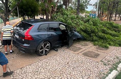 Acidente envolvendo uma volvo XC60 destrói árvores no balão do Morada