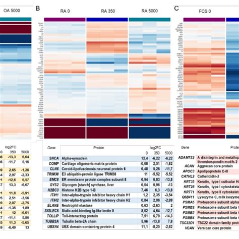 Heat Maps Of The Differentially Expressed Significant Proteins Download Scientific Diagram