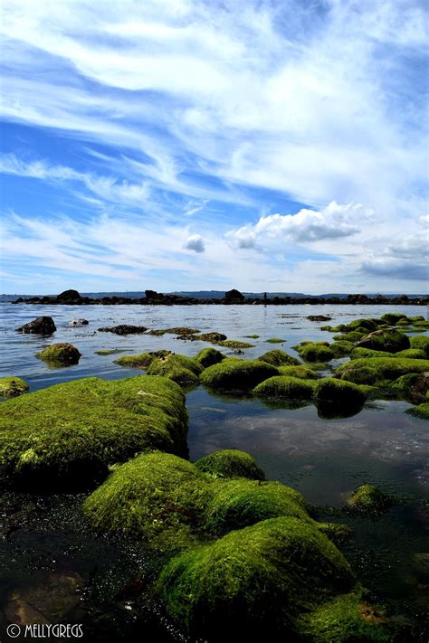 Seashore And Inland Photography — Green And Blue Meadfoot Beach Torquay