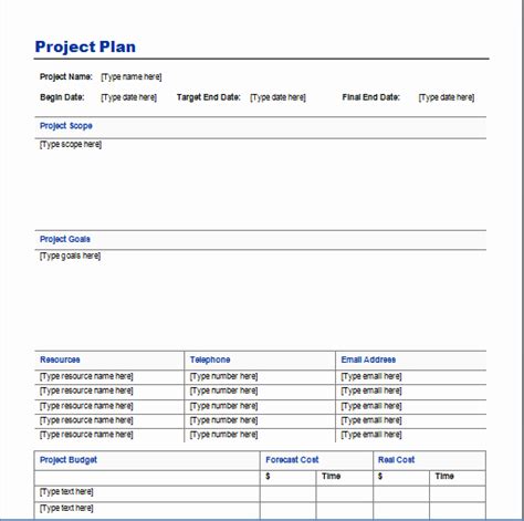 40 Website Project Plan Template | Hamiltonplastering